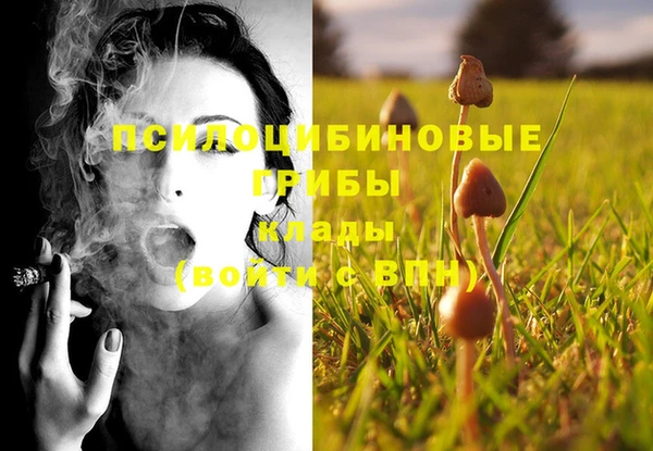 mix Белокуриха
