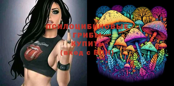 ПСИЛОЦИБИНОВЫЕ ГРИБЫ Беломорск