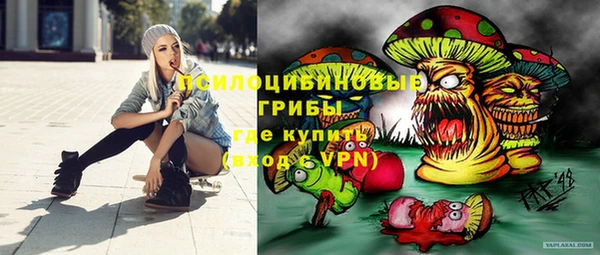 mix Белокуриха