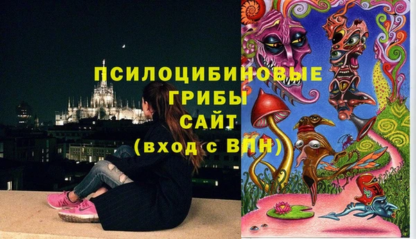 бошки Белоозёрский