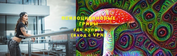 mix Белокуриха